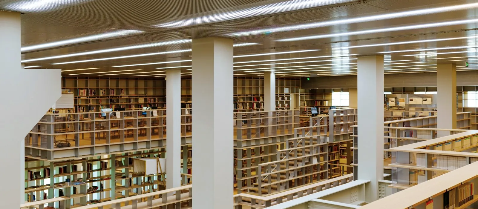 A calm reading room — a place of focused learning