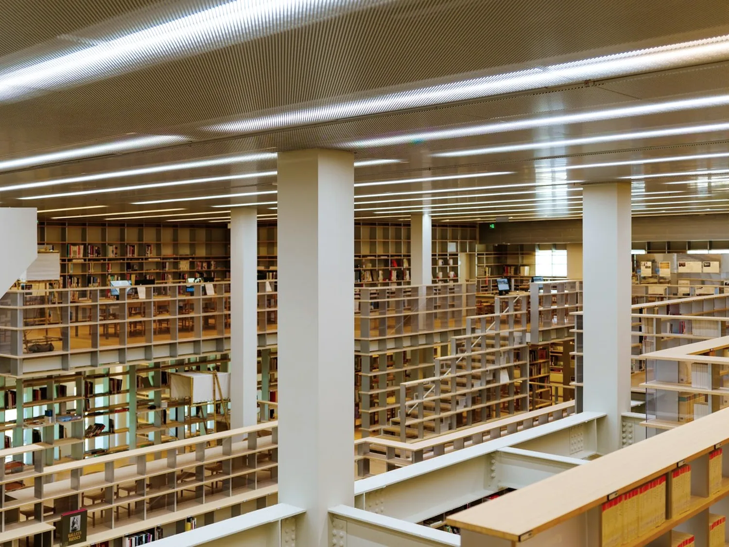 A calm library reading room — a place of focused learning